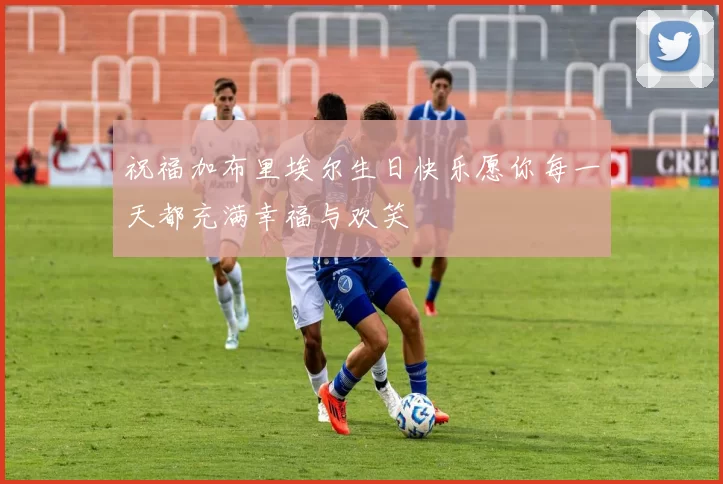 祝福加布里埃尔生日快乐愿你每一天都充满幸福与欢笑