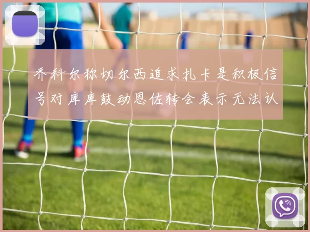 乔科尔称切尔西追求扎卡是积极信号对库库鼓动恩佐转会表示无法认同